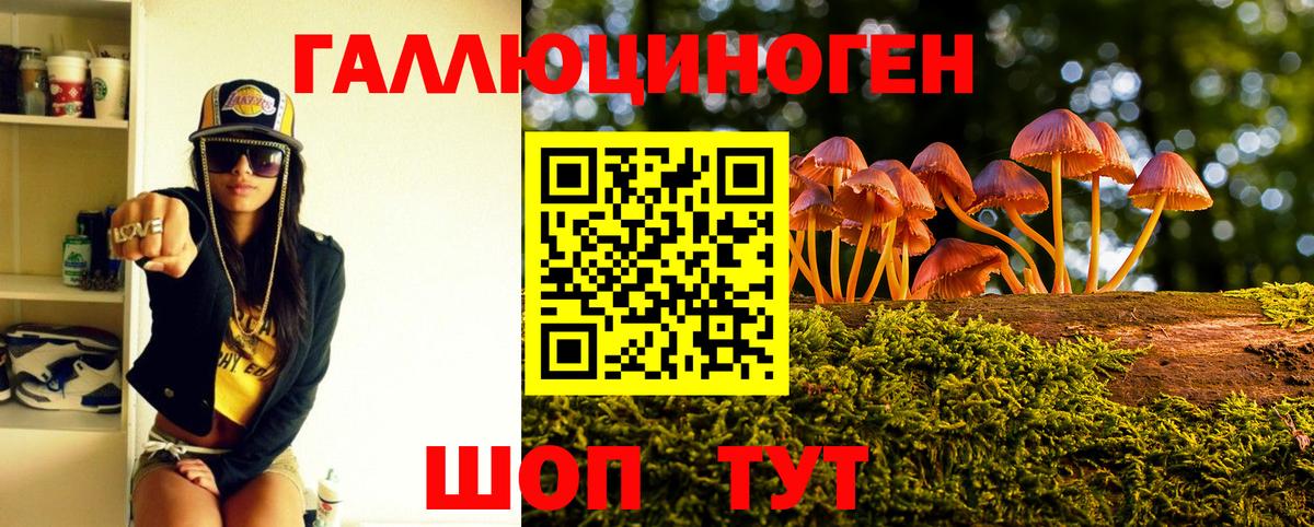 Вичуга  Псилоцибиновые грибы прущие грибы  Вход с VPN 