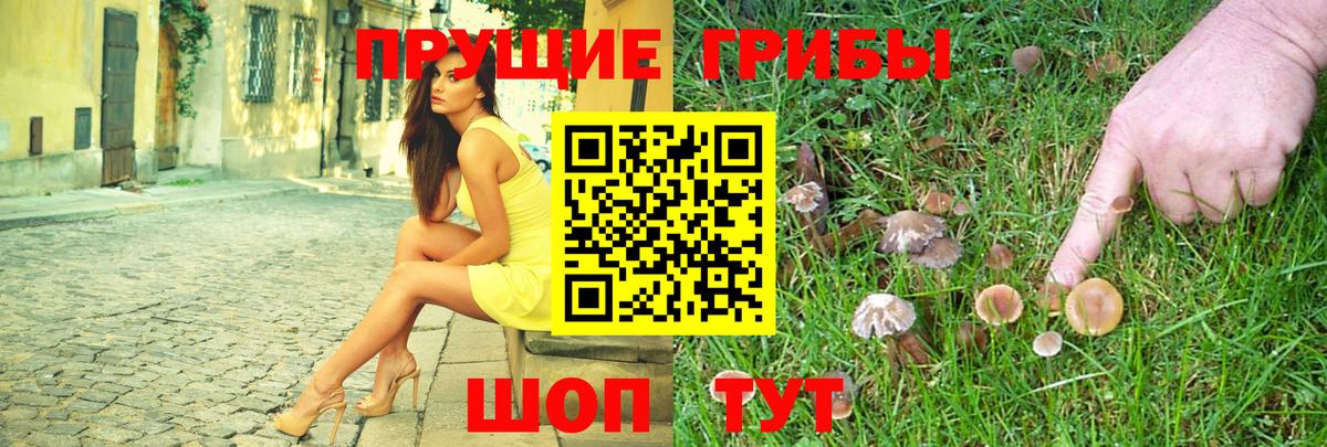 Галлюциногенные грибы Psilocybine cubensis Вичуга